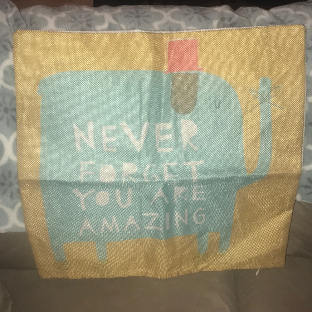 NEVER FORGET YOU ARE AMAZING pillow cover🐘